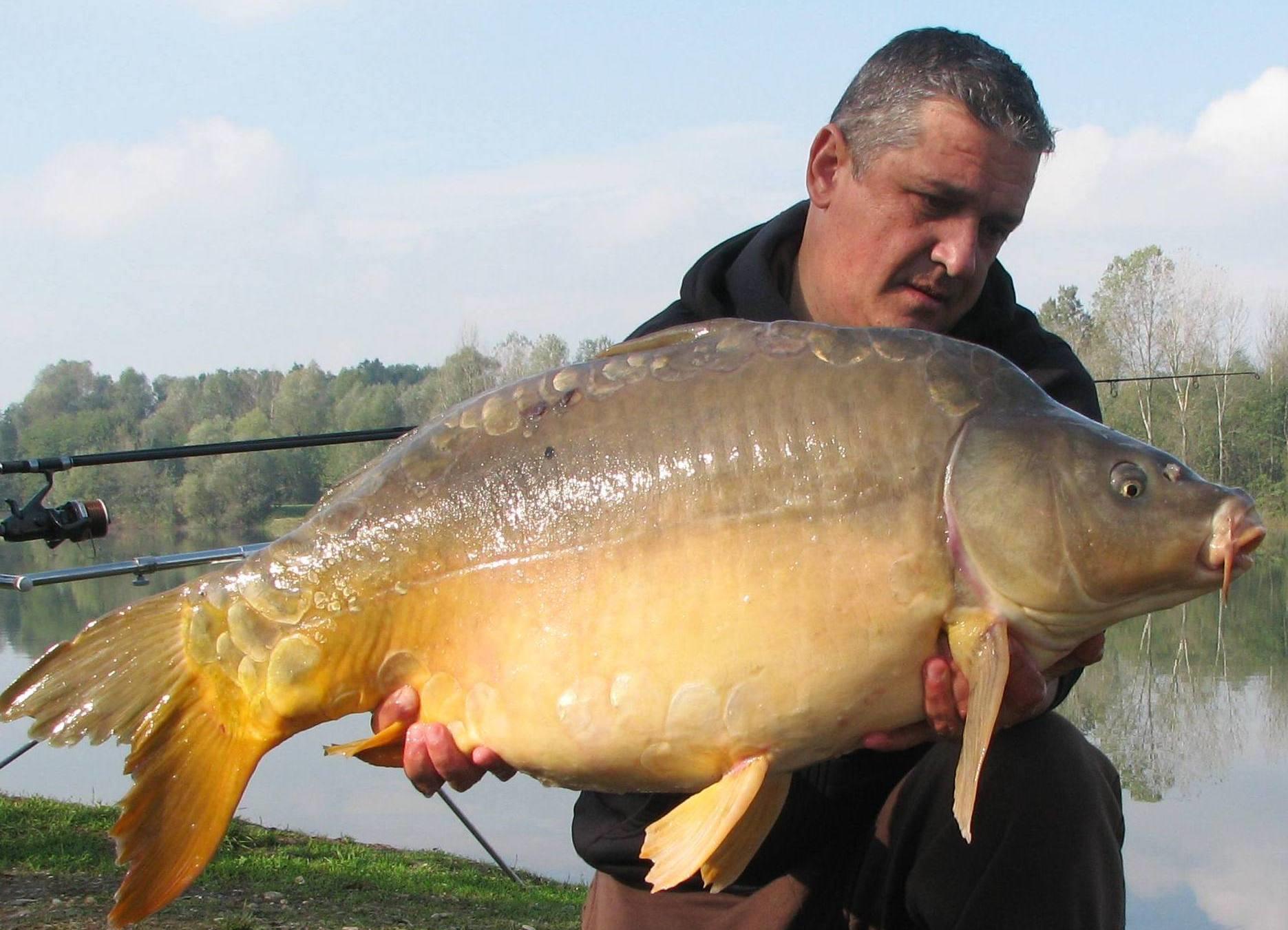 Balkan lake 25 - 31 octombrie 2014 - img1896.JPG